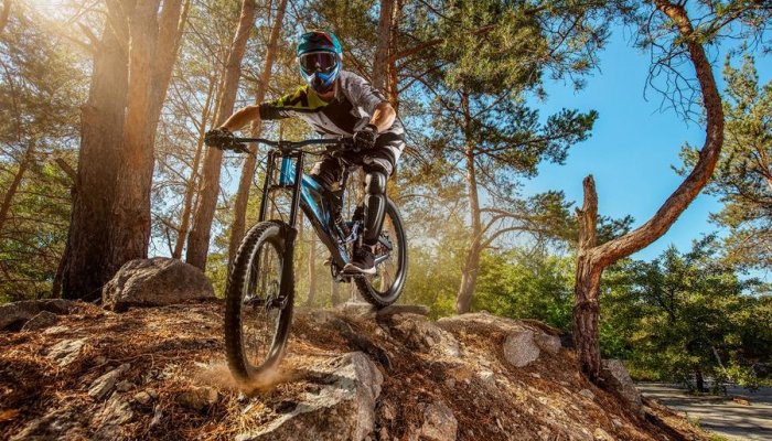 Intersport Centre Vars_Vars